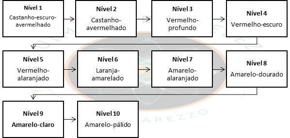 COMO A ÁGUA OXIGENADA AJUDA NO PROCESSO DE DESCOLORAÇÃO CAPILAR?